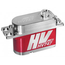 MKS MODEL HV747 SERVO