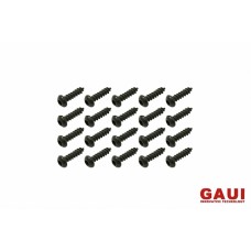 GAUI Socket Head Button Self Taping Screws-Black
