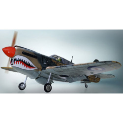 PHOENIX MODEL P-40 WARHAWK 30CC/EP CARBON ARF